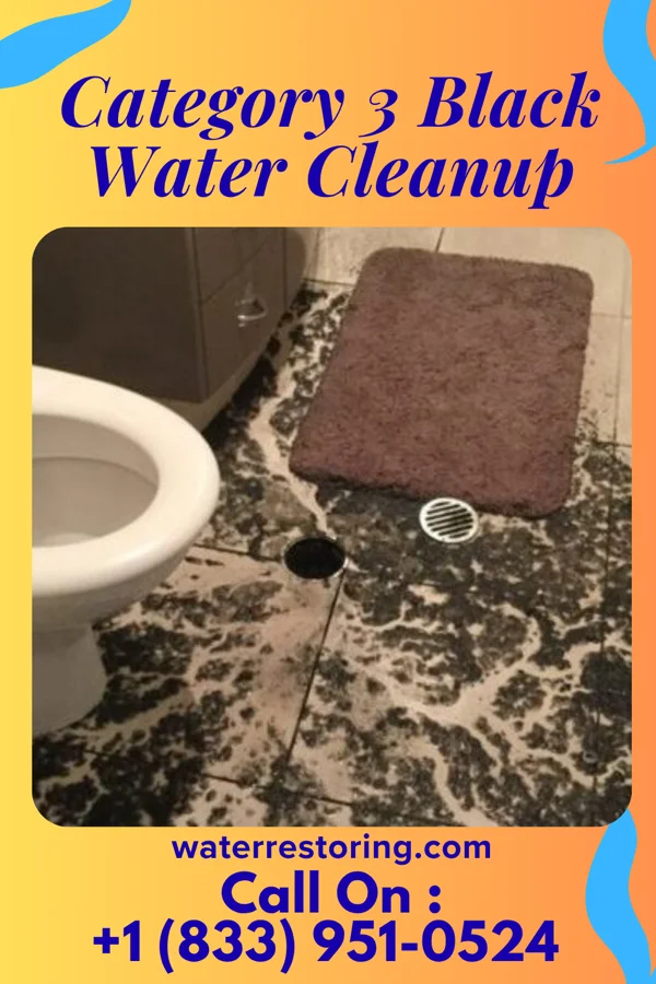 Category 3 Black Water Cleanup in Hot Springs, SD